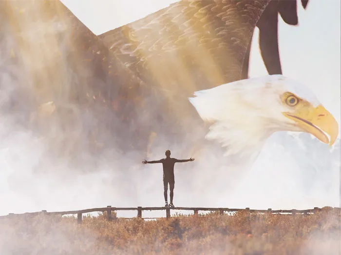 Un homme se tient les bras ouverts sur un chemin brumeux, avec une immense image superposée d'un aigle en vol, symbolisant la liberté et la transformation personnelle inspirée par le guidage de Kris Saint Ange.