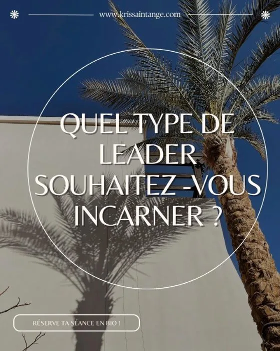 Affiche Quel type de leader souhaitez-vous incarner ?