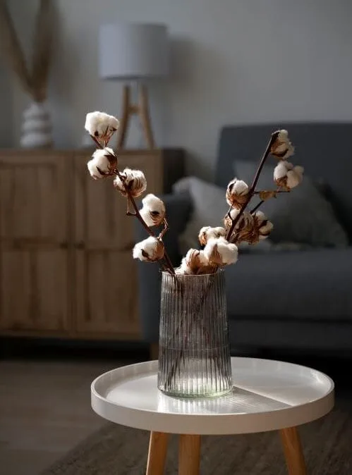 Lire la suite à propos de l’article Je vous renouvelle tous mes remerciements pour le travail de Détox énergétique